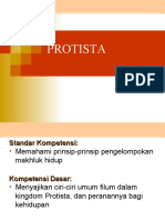 PROTISTA