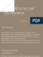 Streptococcus Pyogenes