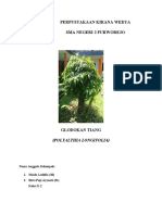 Tanaman Glodokan Tiang (Polyalthia Longifolia) - Maida Luthfia (20) Dan Riris Puji A.
