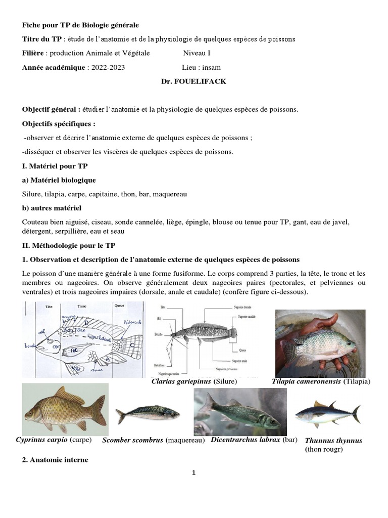 Anatomie et Physiologie des Poissons | PDF | Tractus gastro-intestinal ...