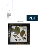 Herbarium Kopi 201510801032