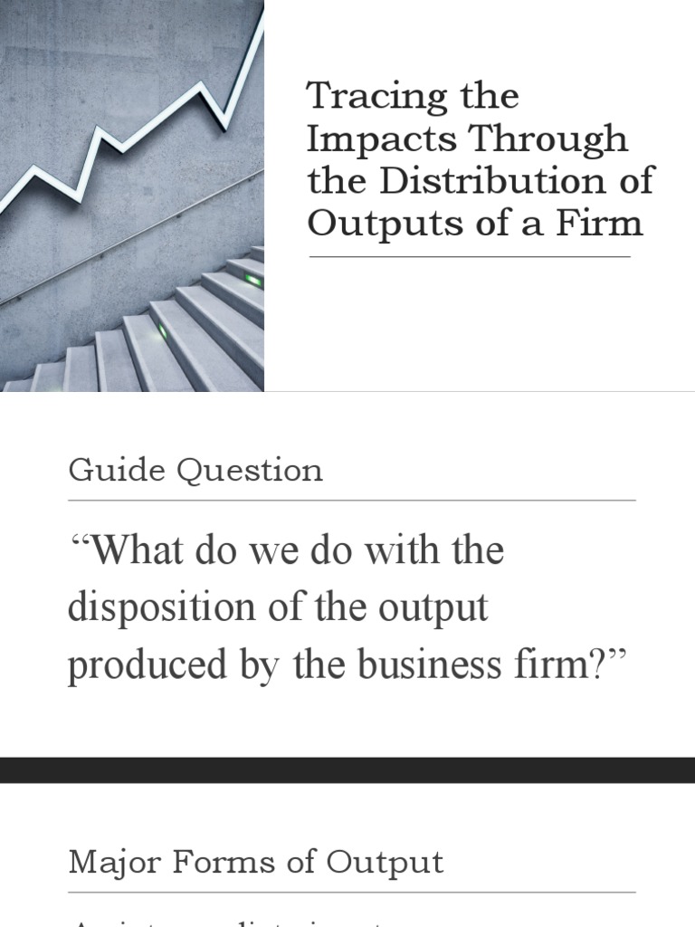 Impacts of Firm Output Distribution | PDF