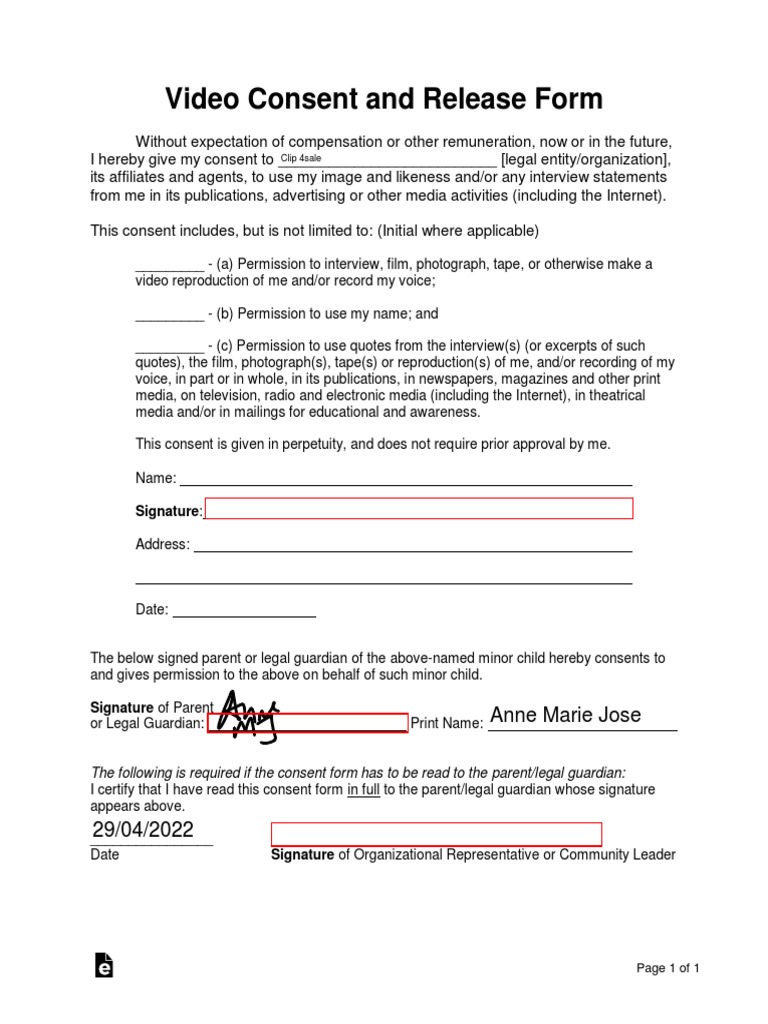 Video Consent Form Pdf