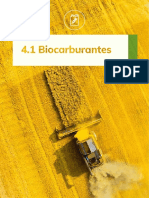 Biocarburantes 2019