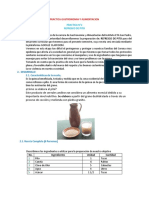 Practica N°2 Refresco de Pito