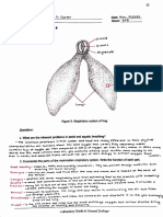 Zoology Laboratory - Activity 10: Respiratory System