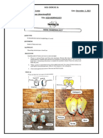 Botany Laboratory - M10: Exercise 1A - SEED MORPHOLOGY