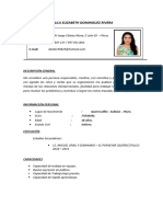 Curriculum Vitae - Dominguez Rivera