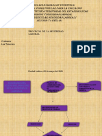 Caudro Sinoptico de Diagrama de Flujo Del Proceso de La Seguridad Laboral