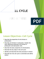 Cell Cycle and Mitosis