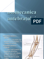 Curs 08 Biomecanica Antebratului