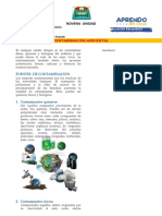 Ficha Contaminacion Ambiental Ix-Unidad 2022