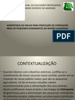 Hidroponia Do Milho para Produção de Forragens para