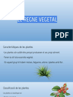 El Regne Vegetal