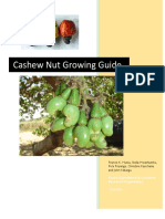 Cashew_Nut_Propagation_and_Growing_Guide_2_Sept_2019_DRAFT_ed_LW