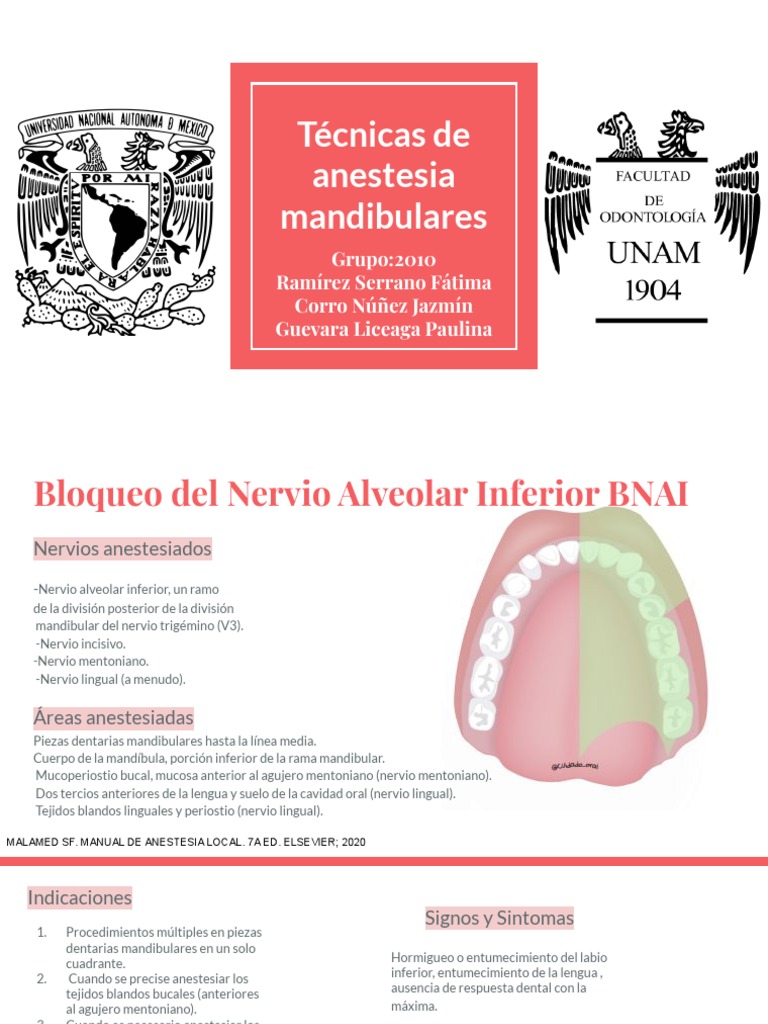 Técnicas de Anestesia Mandibular en Odontología | PDF | Boca | Anatomía ...