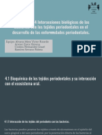 Interacciones Biológicas de Las Bacterias Con Los Tejidos Periodontales en El Desarrollo de Las Enfermedades Periodontales