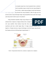 Ruang Submandibular Merupakan Ruang Di Atas Os Hyoid