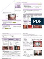 TE5 - Conjuntiva