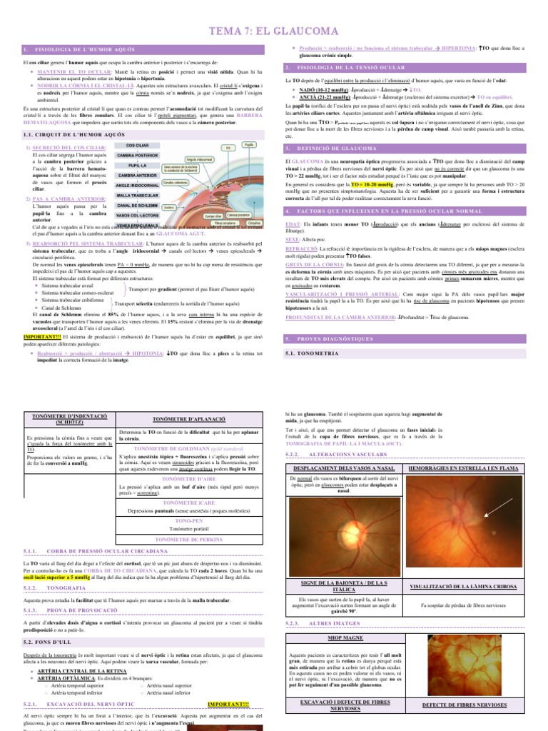 TE7 - Glaucoma | PDF