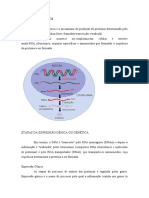Síntese Proteica: Transcrição, Tradução e Formação de Proteínas