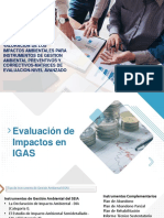 Evaluación de Impactos Igas