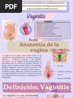 Guía Completa sobre Colpitis y Cervicitis | PDF | Especialidades ...