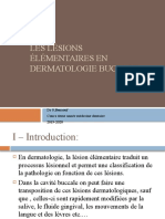 Les Lésions Élémentaires