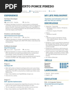 VPP CV Reformated Abbreviated