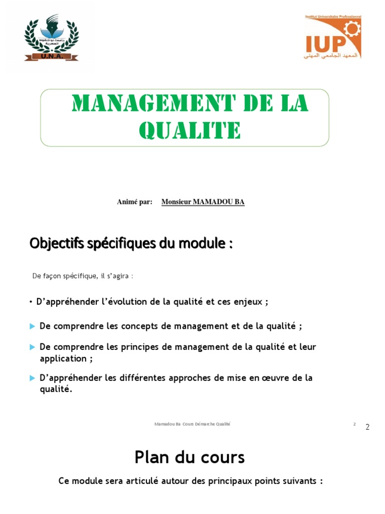 Management de la Qualité et ISO 9001 | PDF | Management de la qualité ...
