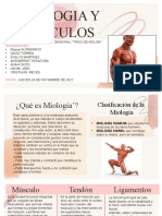 Miologia Anatomia