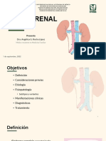 Lesión Renal Aguda