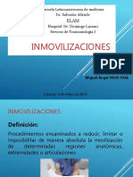 Inmovilizaciones