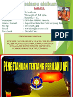 Biodata Sri Widodo