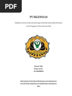 Download MakalahPuskesmasSiapPrintbyAjieLehWelehSN61506539 doc pdf