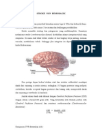 Case Stroke Non Hemoragik DR Cintia