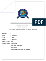 Effect of Magnetic Fields on Plant Growth Project Report