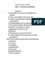 X Nervous System Worksheet