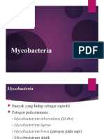 Mycobacteria