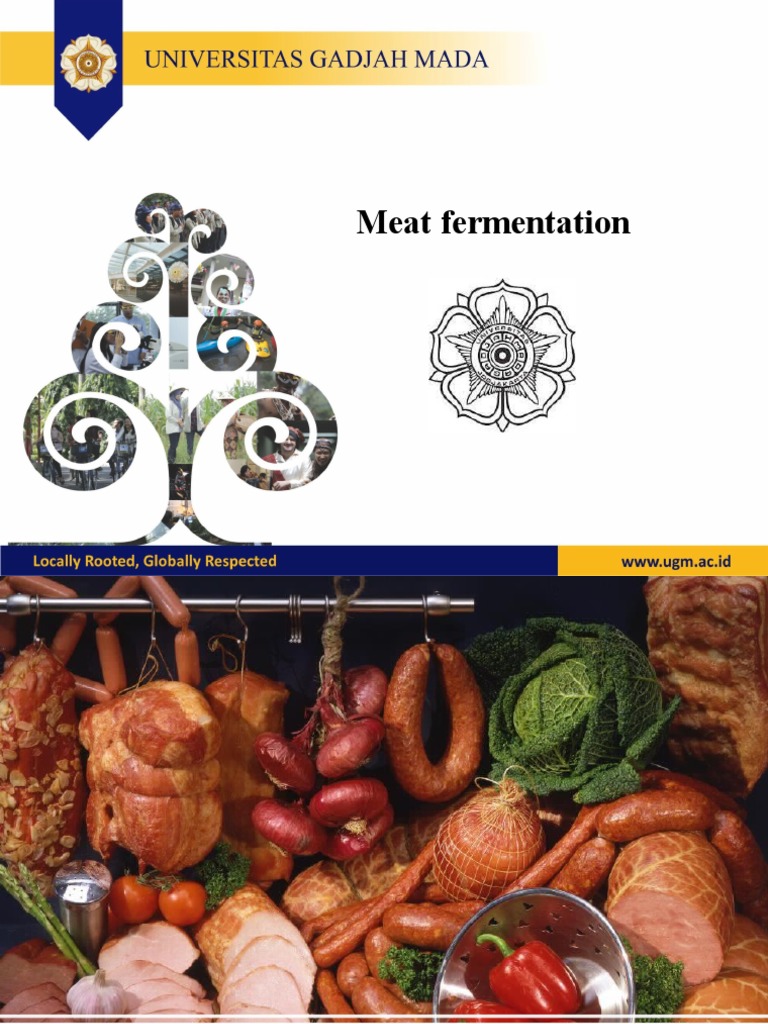 Mikrobiologi Fermentasi Daging | PDF | Curing (Food Preservation ...