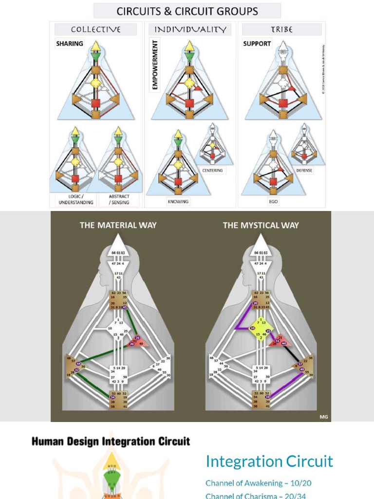 Circuitry Human Design | PDF