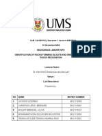 Identification of Rocks Forming Silicate and Ore Minerals and Rocks Recognition