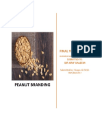 Final Year Project on Peanut Branding and Processing