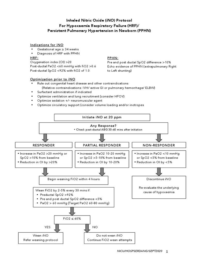 Protocol for Using Inhaled Nitric Oxide (iNO) Therapy to Treat Hypoxemic Respiratory Failure and