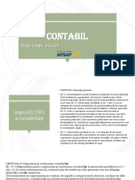 Suport de Curs - Contabil - PPT