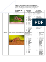 Mosquito-Borne Diseases Nursing Management Chart