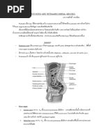 Peritonitis and Intraabdominal Abscess