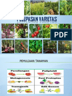 Pelepasan Varietas