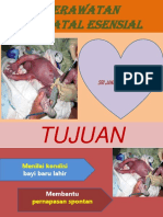 Perawatan Neonatal Esensial