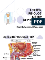 Anatomi Fisiologi Sistem Reproduksi